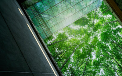 The Role of Glass in Sustainable Building Design